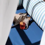 Del Mare 酒店 厄吕代尼兹